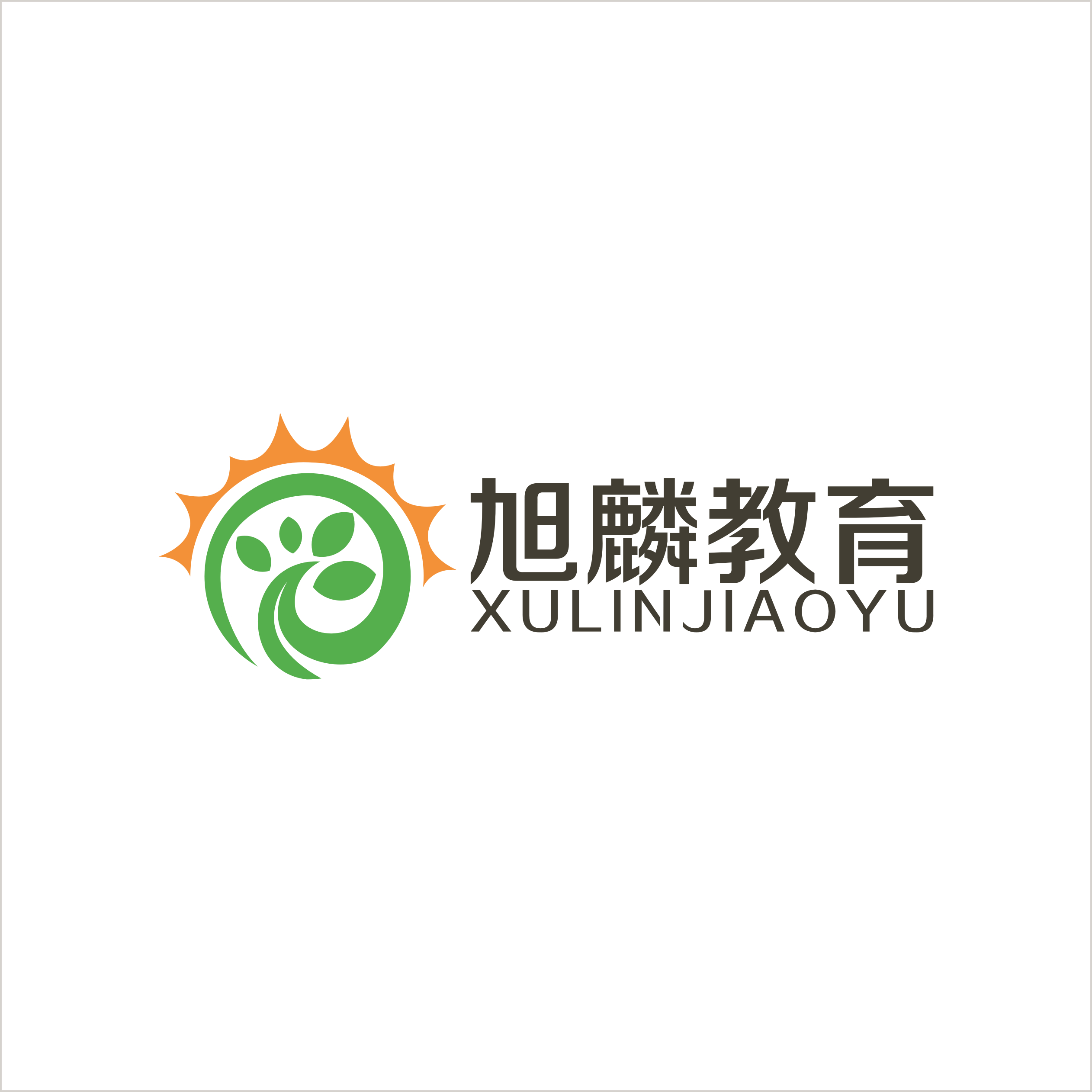 王家店小二&取名logo包装vi画册